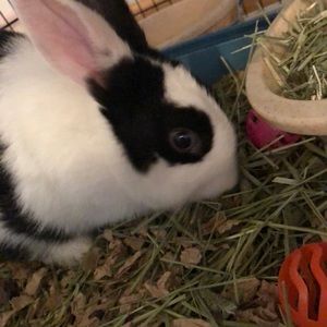 Meet your Posher, Alecia